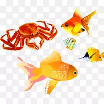 红王蟹夹艺术-鱼