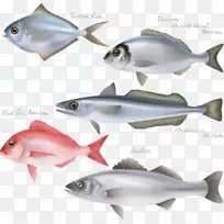 鱼排钓鱼剪贴画-鱼类图标
