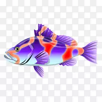 动物星球奇怪的，不寻常的，恶心和凉爽的动物土坯插画剪贴画-一条彩色的鱼。
