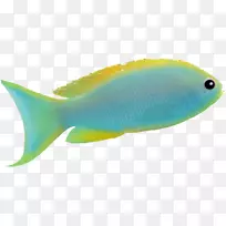 鱼蓝橙-相当有创意的观赏鱼