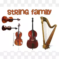 家庭弦乐器，管弦乐队，小提琴.弦乐器