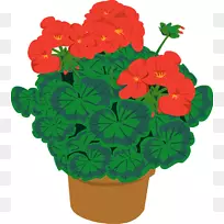 室内植物花盆剪贴画-兰塔纳花梗