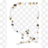 嫩枝花卉图案-海星外形