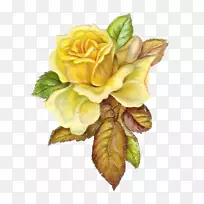 玫瑰黄色插花艺术-天主教玫瑰剪贴画