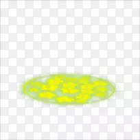黄生物体卵光效应