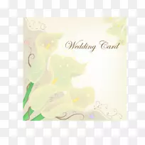 画阴影手绘百合花清新的阴影