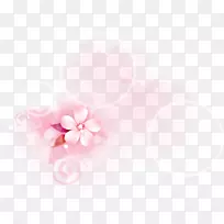 花瓣桌面壁纸樱花近景-简单手绘花圈