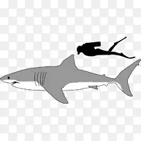 大白鲨巨蟒，虎鲨剪贴画-黑白鲨鱼图片