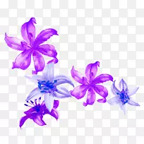 水彩画蓝色花瓣插图.水彩百合