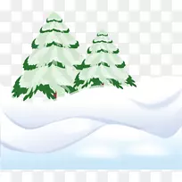 圣诞树，松木，冬季树木