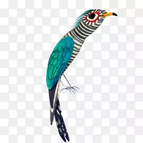 鸟鹦鹉插画艺术插图-创意色彩鹦鹉
