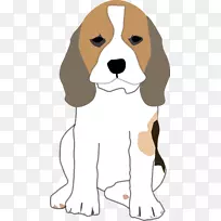 比格犬猎犬吉娃娃小狗