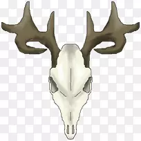 白尾鹿，驯鹿头骨夹艺术.鹿头骨图