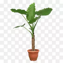 室内植物像素植物PNG盆栽