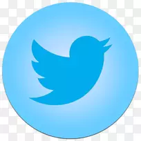 社交媒体徽标电脑图标-图标twitter符号