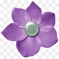 花卉数码剪贴簿紫色-深紫色花PNG
