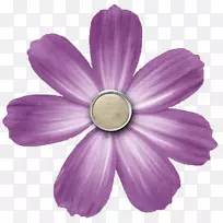 数码剪贴簿花卉按钮剪贴画-PNG透明紫色花