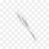 白色羽毛黑色图像抽象PNG透明