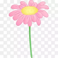 粉红花夹艺术.透明雏菊剪片