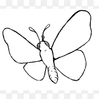 帝王蝶虫夹艺术.可打印的蝴蝶剪贴画