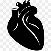 心脏医学计算机图标保健心脏科-心脏，心脏科图标png