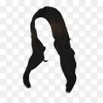 黑头发棕色剪贴画-女性发PNG形象