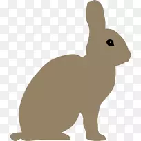 复活节兔子雪鞋兔剪贴画-无人机