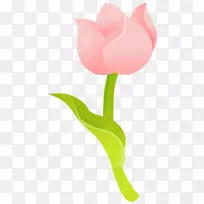 电脑图标粉色花朵玫瑰粉红色玫瑰图标