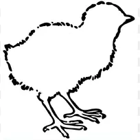 鸡kifaranga电脑图标剪贴画-鸡轮廓