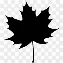 加拿大黑枫叶电脑图标-黑色，秋季，加拿大，秋天，树叶，枫树，树图标。