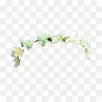 皇冠花环头带透明花冠图像png
