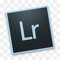 商标字体-LR