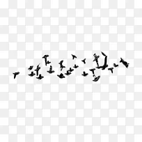 鸟类剪贴画-飞行鸟PNG