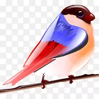 鸟麻雀猫头鹰声音机器人-自然艺术图片