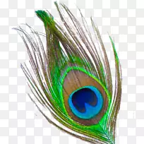 克里希纳羽毛剪贴画-孔雀羽毛PNG透明图像