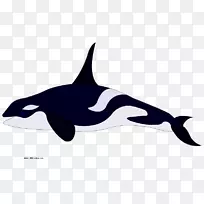 侏儒虎鲸海豚着色书剪贴画虎鲸剪贴画