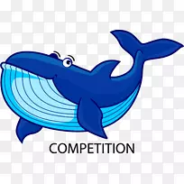 海豚海洋蓝鲸海豚