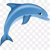 阿罕布拉儿童海豚