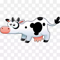 白色公园牛，荷斯坦牛，弗里斯坦牛，牛乳，乳牛，奶牛