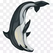 海豚贴纸彩色铅笔甲壳动物海洋海豚