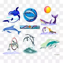 海豚鲸鱼剪贴画-海豚