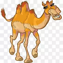 骆驼摄影版税-免费剪贴画-骆驼