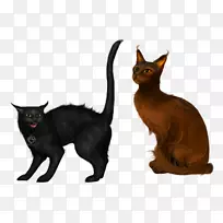 科里利安短尾猫黑猫剪贴画-猫