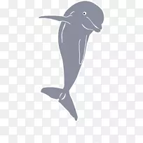 海豚，海豚幼鲸剪贴画-海豚