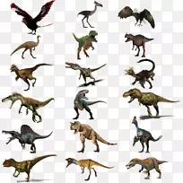 动物足类暴龙足类飞行恐龙图片