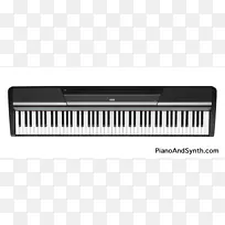 数字钢琴键盘乐器Korg-钢琴键png
