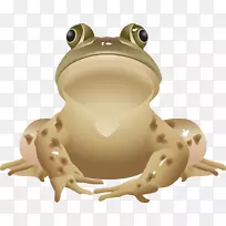关于青蛙，食用青蛙，剪贴画，青蛙
