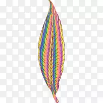 羽毛鸟夹艺术-羽毛