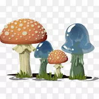 灵芝蘑菇、木耳、无花果蘑菇