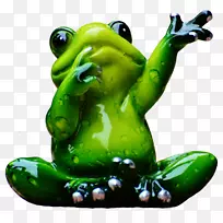 蛙车镜-青蛙